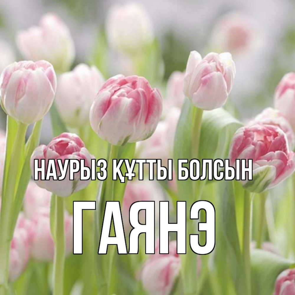 Открытка на каждый день с именем, Гаянэ Наурыз құтты болсын цветы Прикольная открытка с пожеланием онлайн скачать бесплатно 