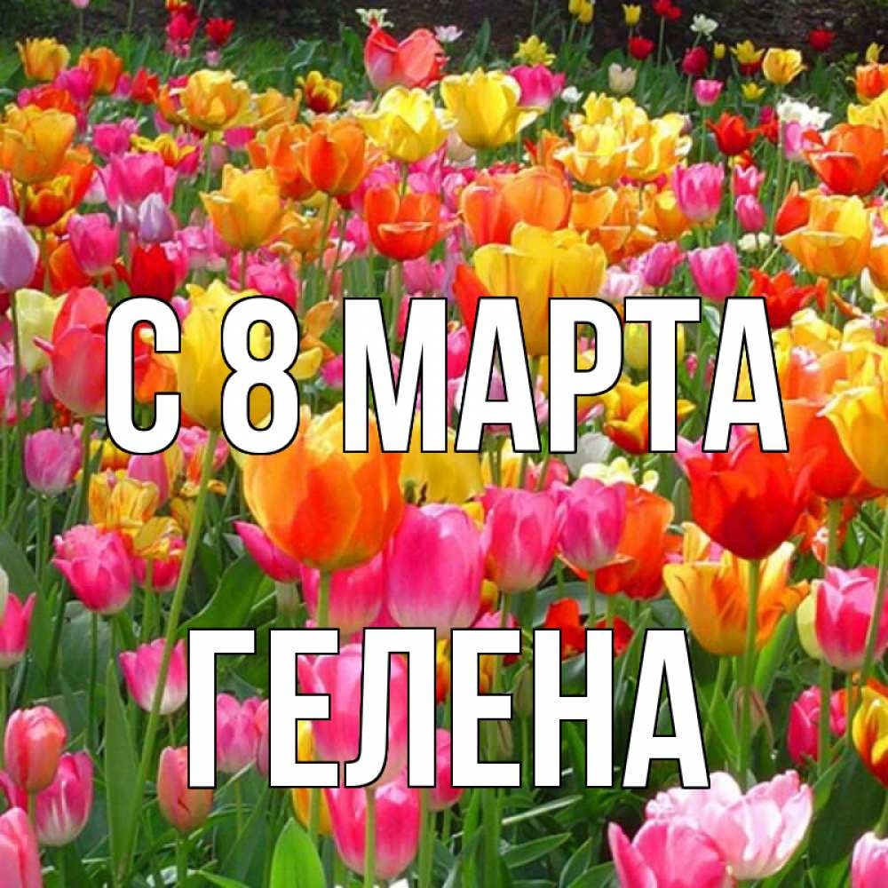 Открытка на каждый день с именем, Гелена С 8 МАРТА на международный женский день Прикольная открытка с пожеланием онлайн скачать бесплатно 