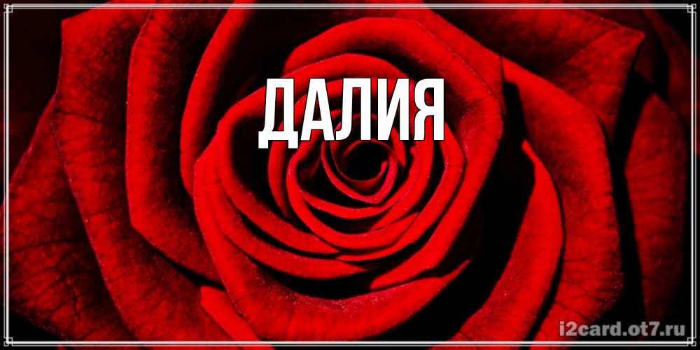 Картинка  с именем , Далия