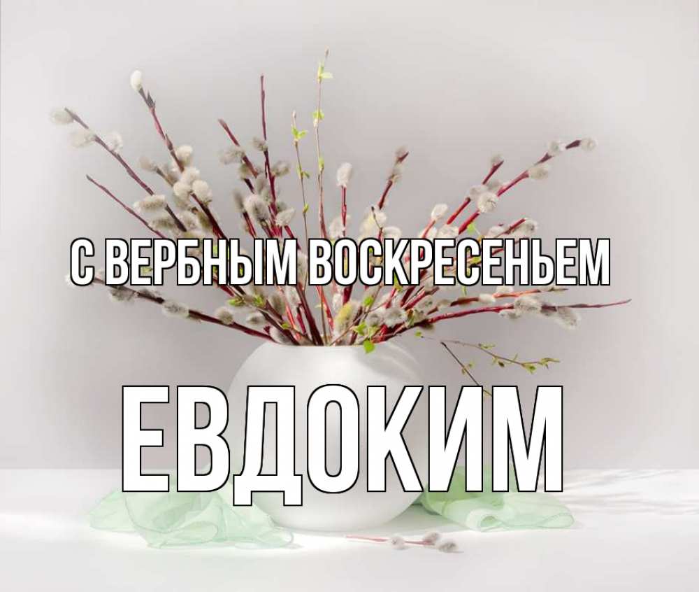 Открытка на каждый день с именем, Евдоким С вербным воскресеньем верба Прикольная открытка с пожеланием онлайн скачать бесплатно 
