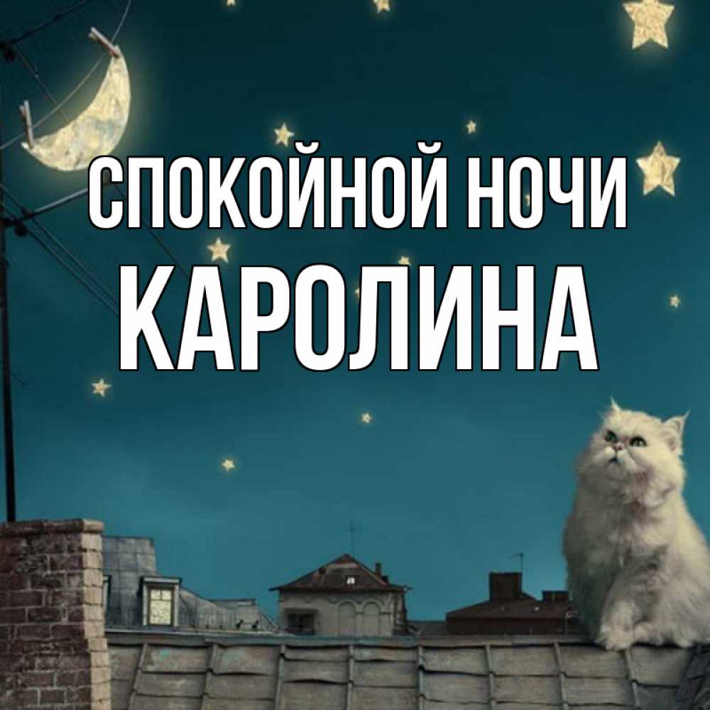 Открытка на каждый день с именем, Каролина Спокойной ночи белый кот сидит на крыше Прикольная открытка с пожеланием онлайн скачать бесплатно 