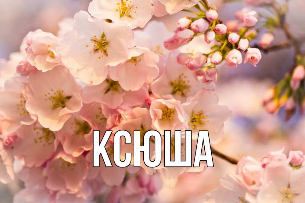 Открытка на каждый день с именем, Ксюша Главная С 1 мая Прикольная открытка с пожеланием онлайн скачать бесплатно 
