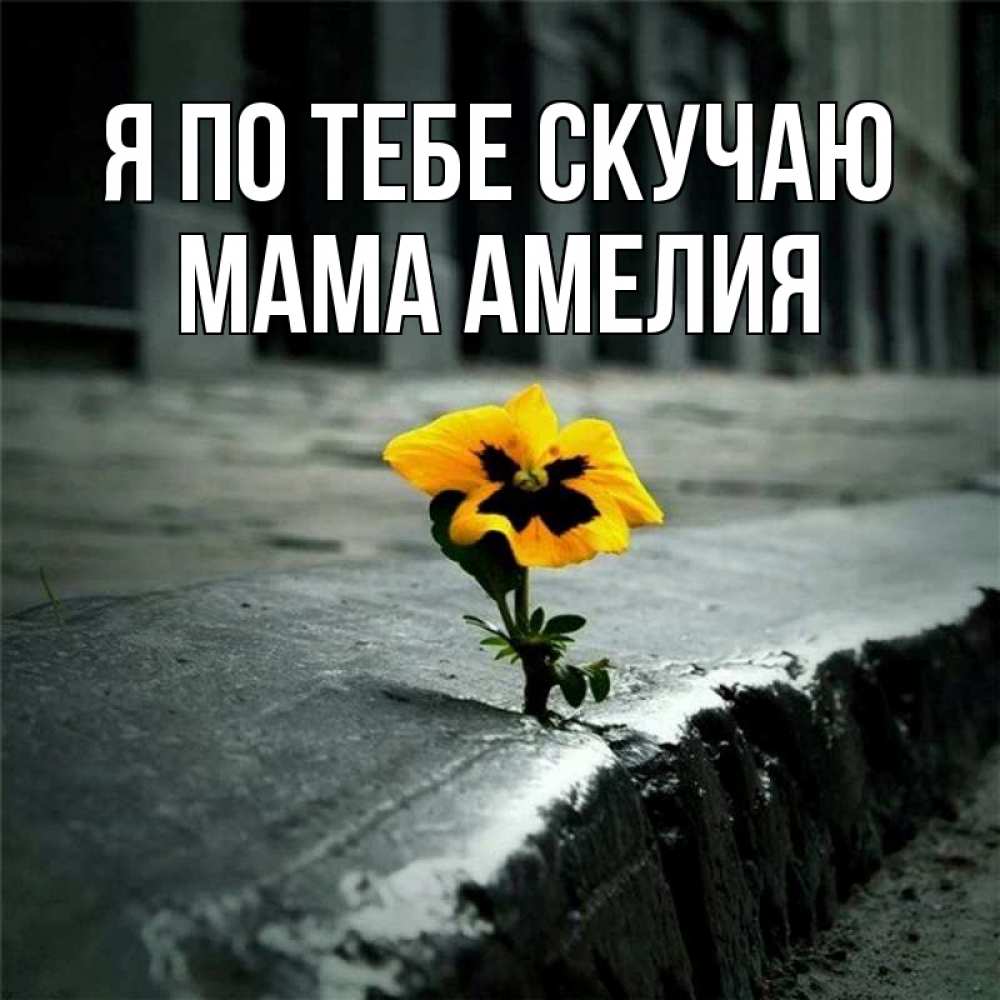 Открытка на каждый день с именем, Мама-Амелия Я по тебе скучаю надеюсь будет лучше Прикольная открытка с пожеланием онлайн скачать бесплатно 
