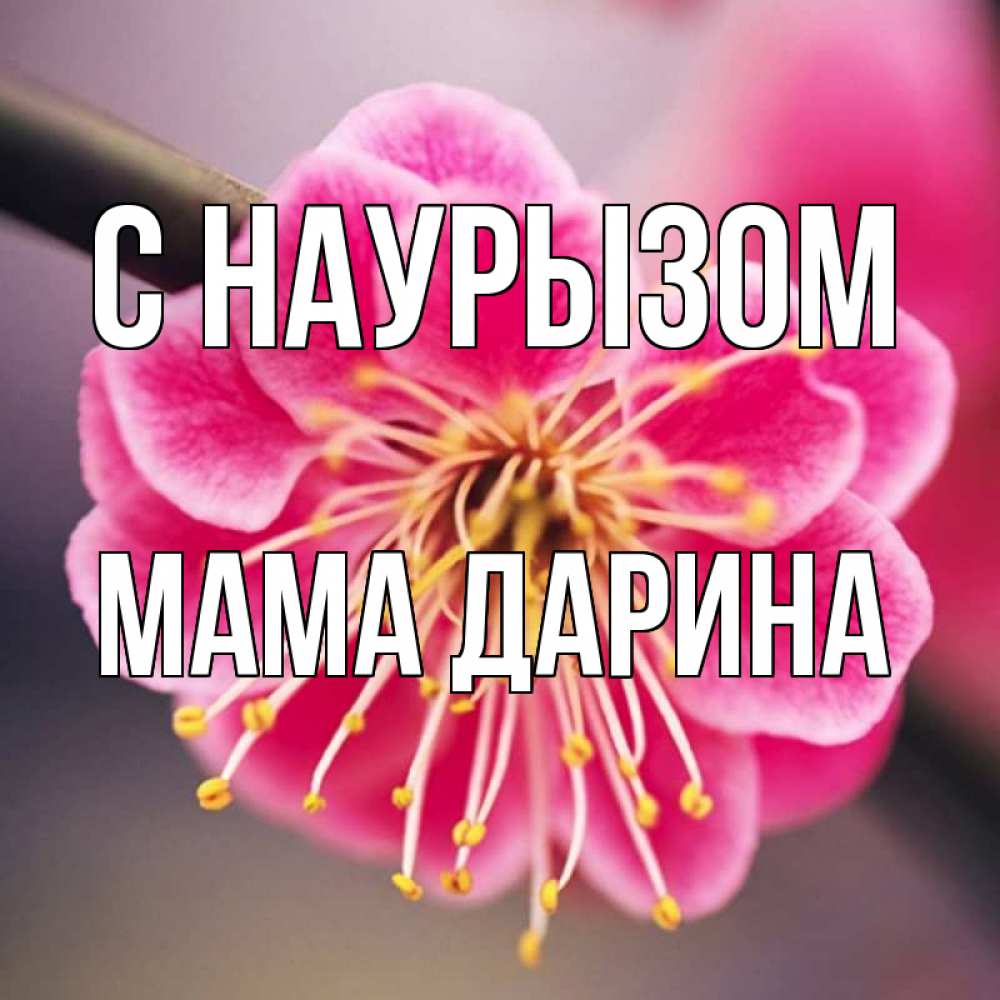 Открытка на каждый день с именем, Мама-Дарина С наурызом цветы Прикольная открытка с пожеланием онлайн скачать бесплатно 