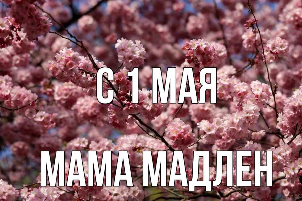 Открытка на каждый день с именем, Мама-Мадлен С 1 мая С 1 мая Прикольная открытка с пожеланием онлайн скачать бесплатно 