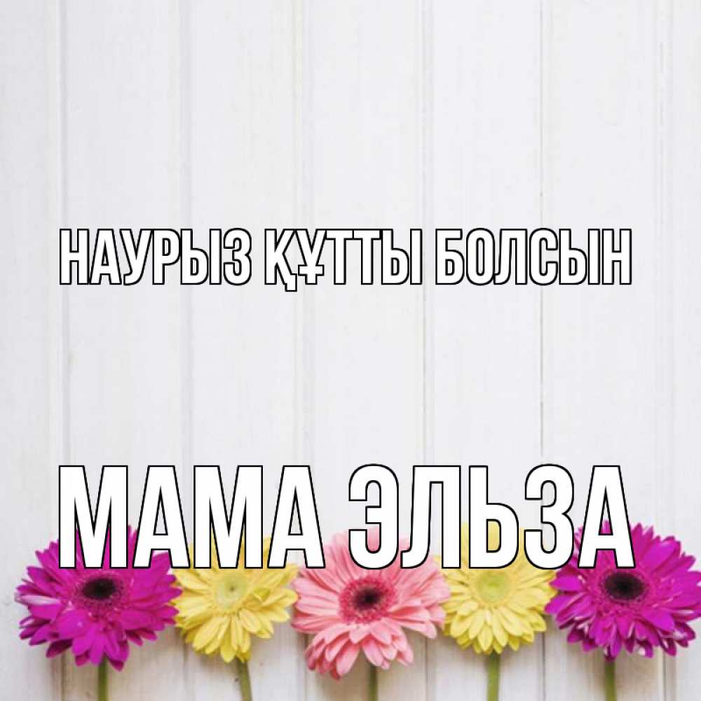 Открытка на каждый день с именем, Мама-Эльза Наурыз құтты болсын женщинам 1 Прикольная открытка с пожеланием онлайн скачать бесплатно 