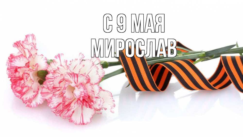 Открытка на каждый день с именем, Мирослав С 9 мая 9 мая Прикольная открытка с пожеланием онлайн скачать бесплатно 