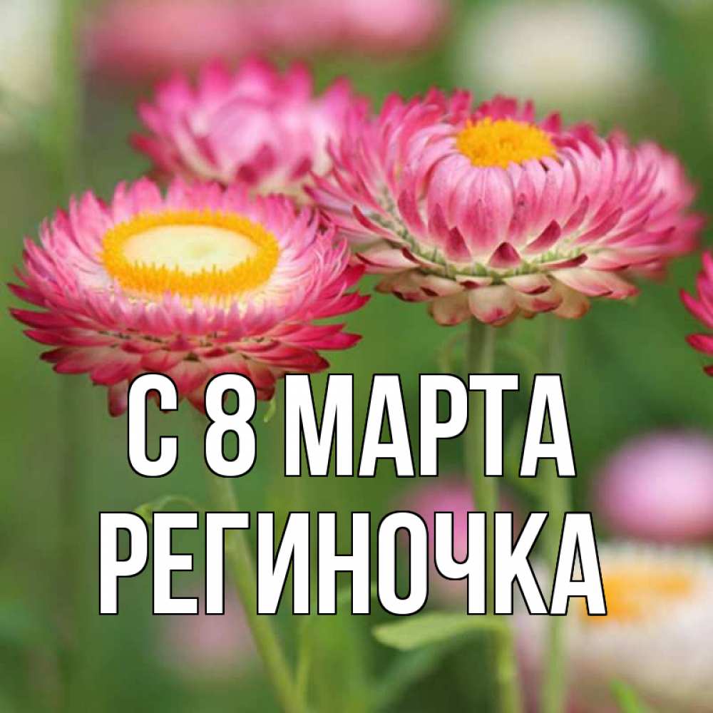 Открытка на каждый день с именем, Региночка С 8 марта подарок на международный женский день Прикольная открытка с пожеланием онлайн скачать бесплатно 
