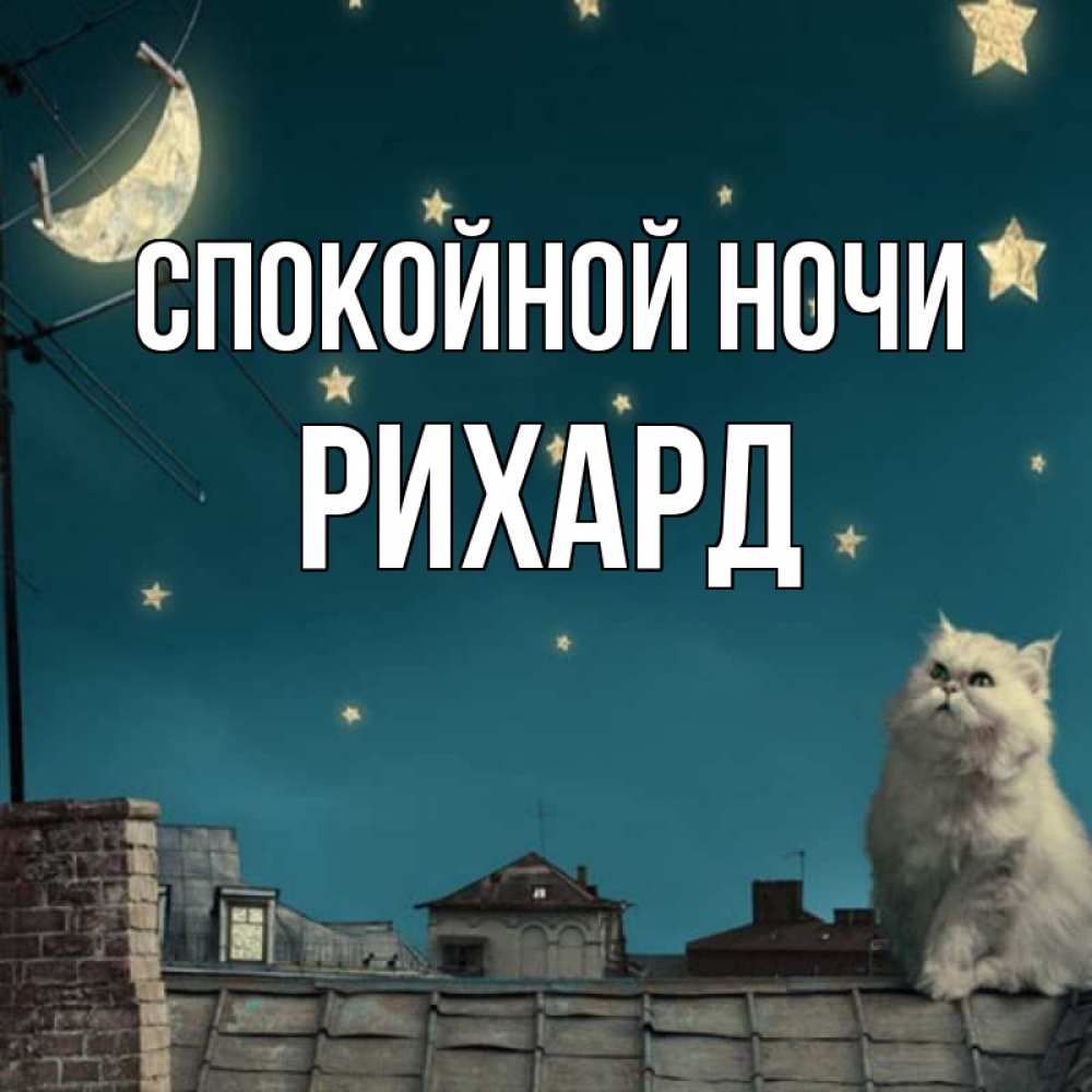 Открытка на каждый день с именем, Рихард Спокойной ночи белый кот сидит на крыше Прикольная открытка с пожеланием онлайн скачать бесплатно 