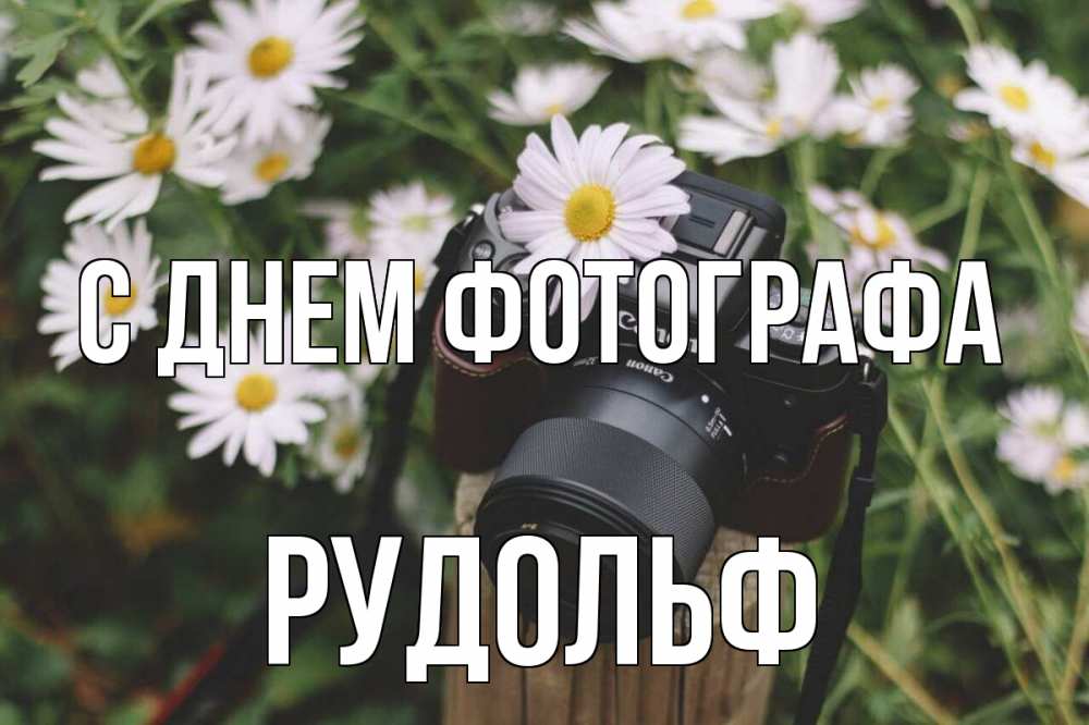 Открытка на каждый день с именем, Рудольф С днем фотографа с днем фотографа Прикольная открытка с пожеланием онлайн скачать бесплатно 