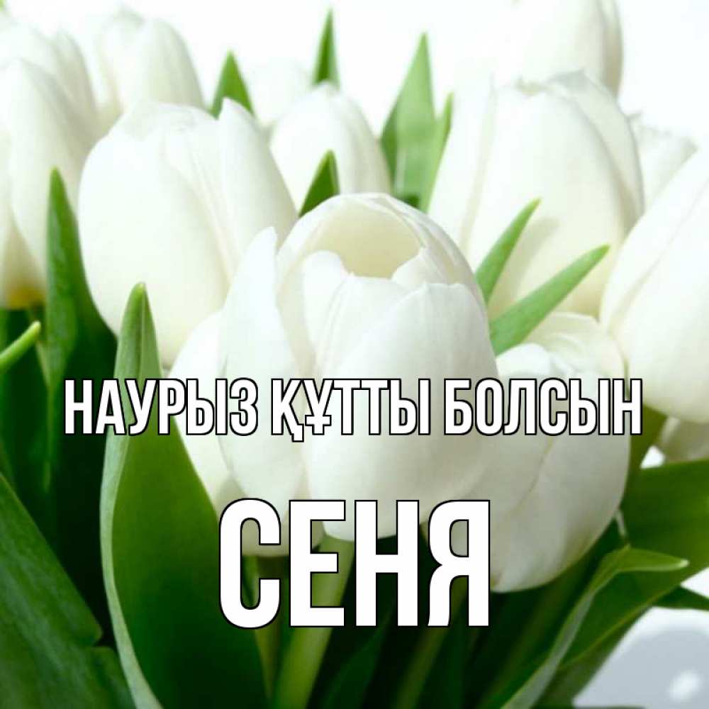 Открытка на каждый день с именем, Сеня Наурыз құтты болсын цветы Прикольная открытка с пожеланием онлайн скачать бесплатно 