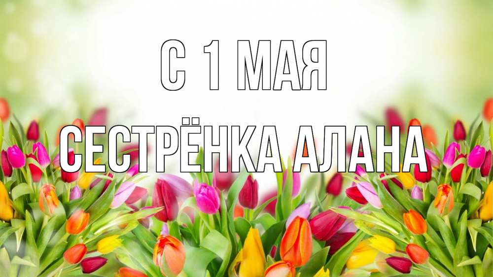Открытка на каждый день с именем, Сестрёнка-Алана С 1 мая С 1 мая Прикольная открытка с пожеланием онлайн скачать бесплатно 