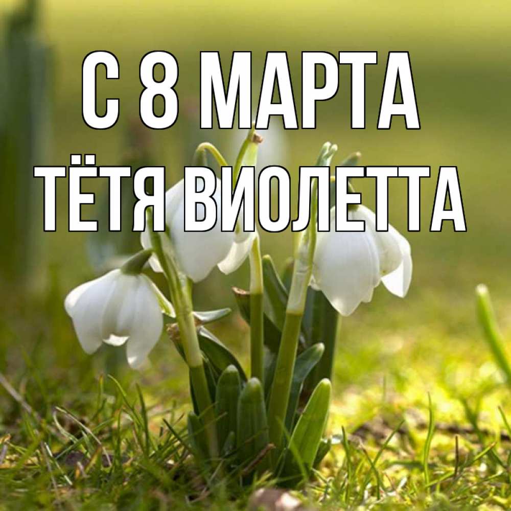 Открытка на каждый день с именем, Тётя-Виолетта С 8 марта ранние цветы 2 Прикольная открытка с пожеланием онлайн скачать бесплатно 