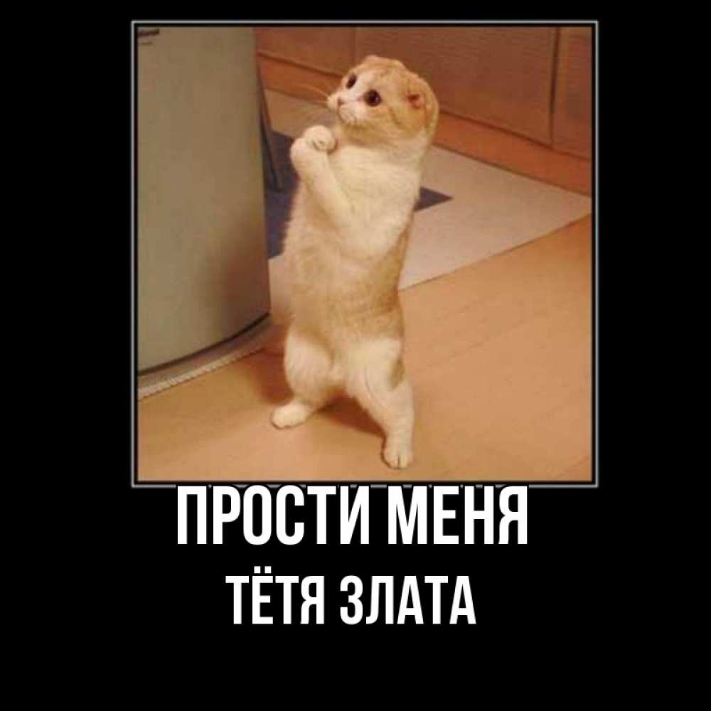Открытка на каждый день с именем, Тётя-Злата Прости меня открытка с милым несчастным котиком просящим прощения Прикольная открытка с пожеланием онлайн скачать бесплатно 