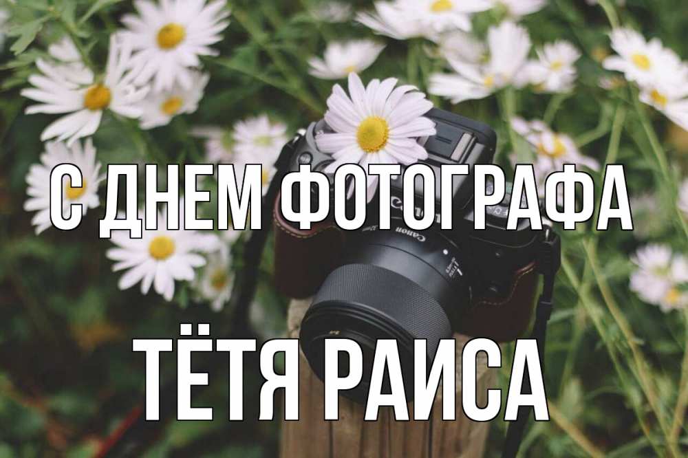 Открытка на каждый день с именем, Тётя-Раиса С днем фотографа с днем фотографа Прикольная открытка с пожеланием онлайн скачать бесплатно 