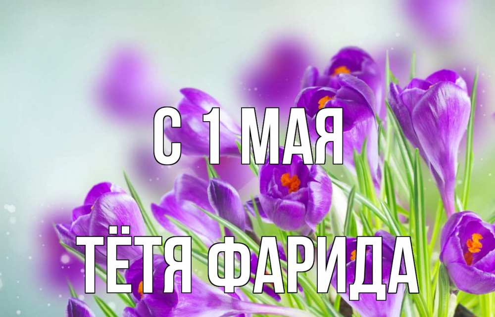 Открытка на каждый день с именем, Тётя-Фарида С 1 мая 1 мая Прикольная открытка с пожеланием онлайн скачать бесплатно 