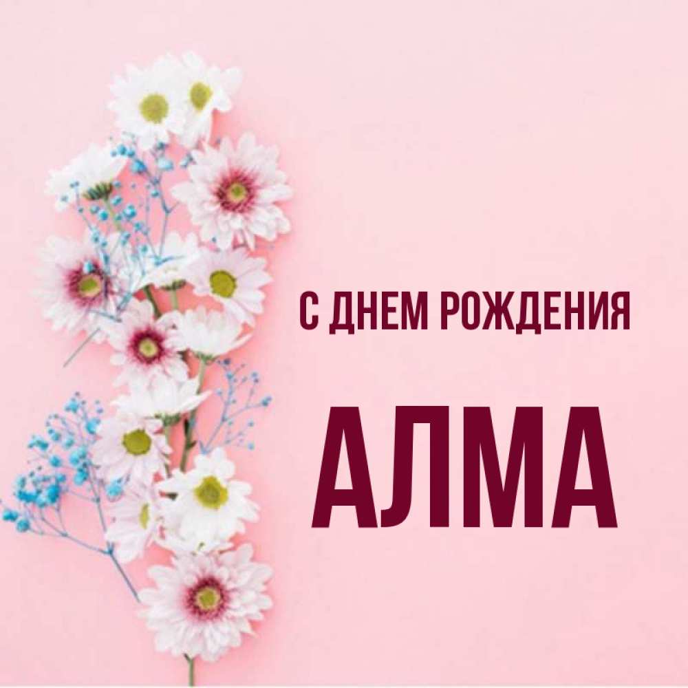 Алма с днем рождения картинки