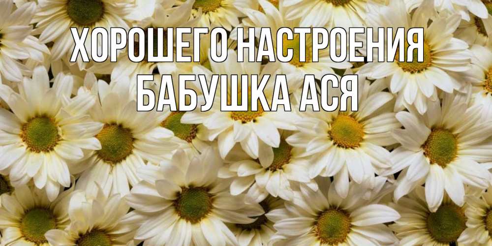 Открытка на каждый день с именем, Бабушка-Ася Хорошего настроения крупные ромашки Прикольная открытка с пожеланием онлайн скачать бесплатно 