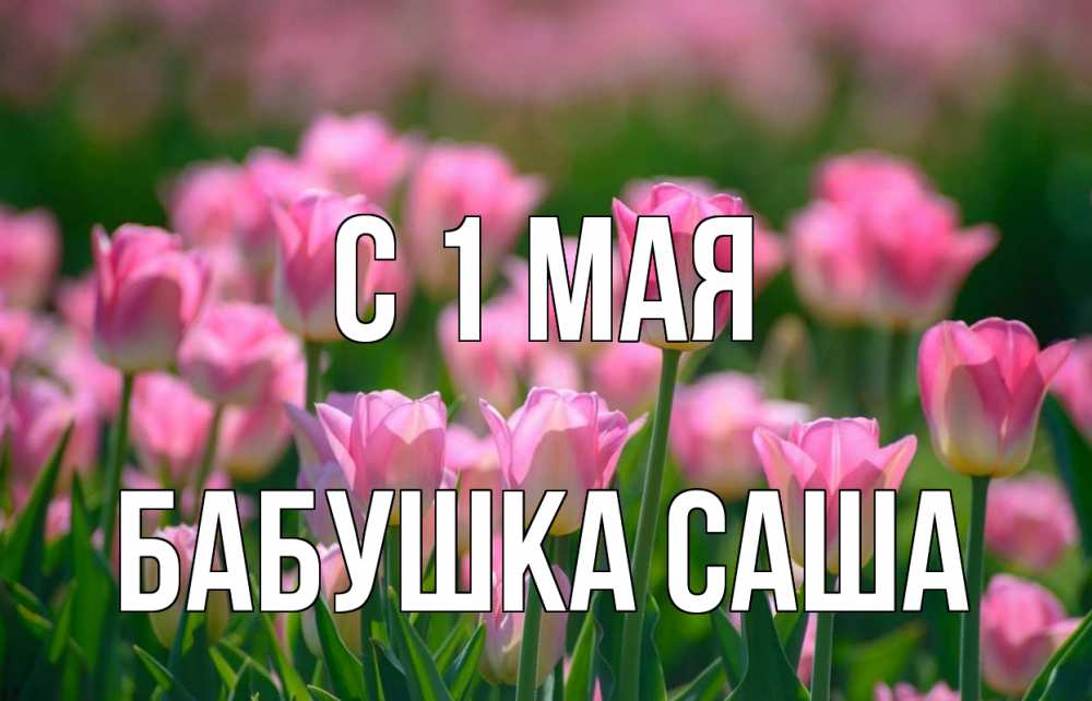 Открытка на каждый день с именем, Бабушка-Саша С 1 мая С 1 мая Прикольная открытка с пожеланием онлайн скачать бесплатно 
