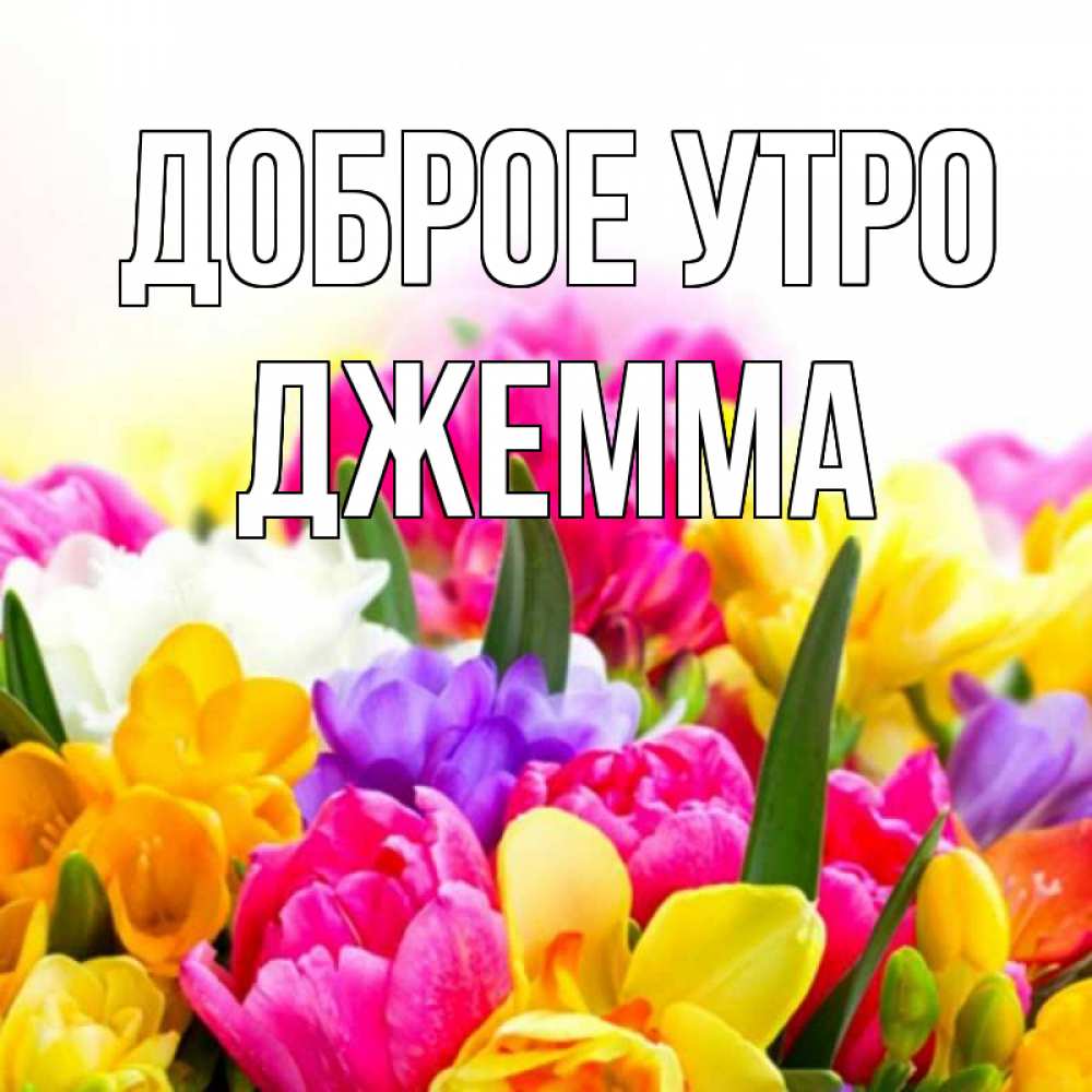 Открытка на каждый день с именем, Джемма Доброе утро создать открытку со свое подписью Прикольная открытка с пожеланием онлайн скачать бесплатно 