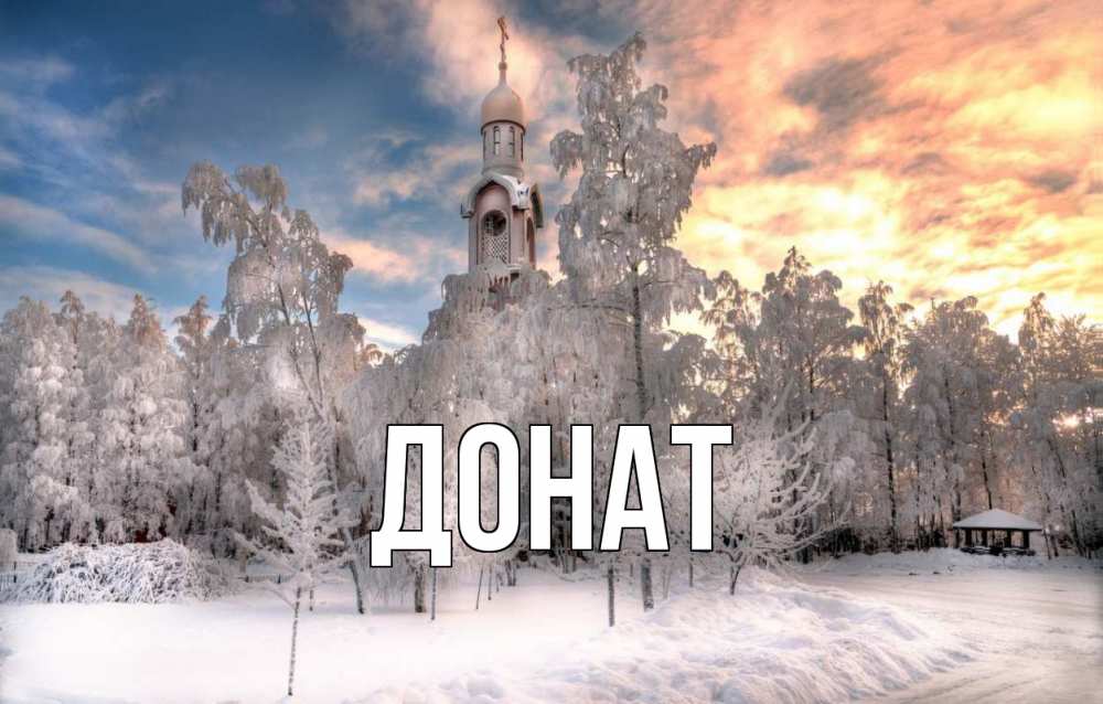 Открытка на каждый день с именем, Донат Главная лес, зима 2 Прикольная открытка с пожеланием онлайн скачать бесплатно 