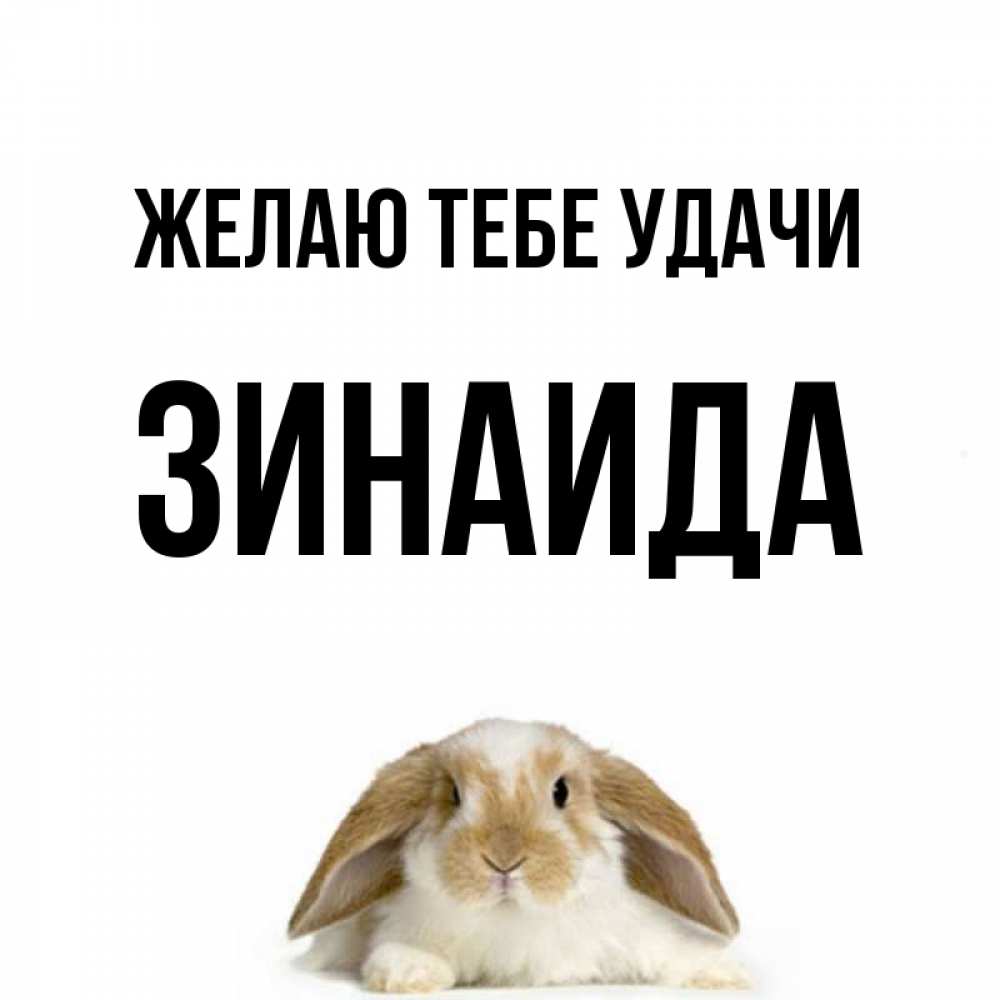 Открытка на каждый день с именем, Зинаида Желаю тебе удачи открытки с произвольным текстом который можно вставить в открытку и создать ее самостоятельно бесплатно онлайн Прикольная открытка с пожеланием онлайн скачать бесплатно 