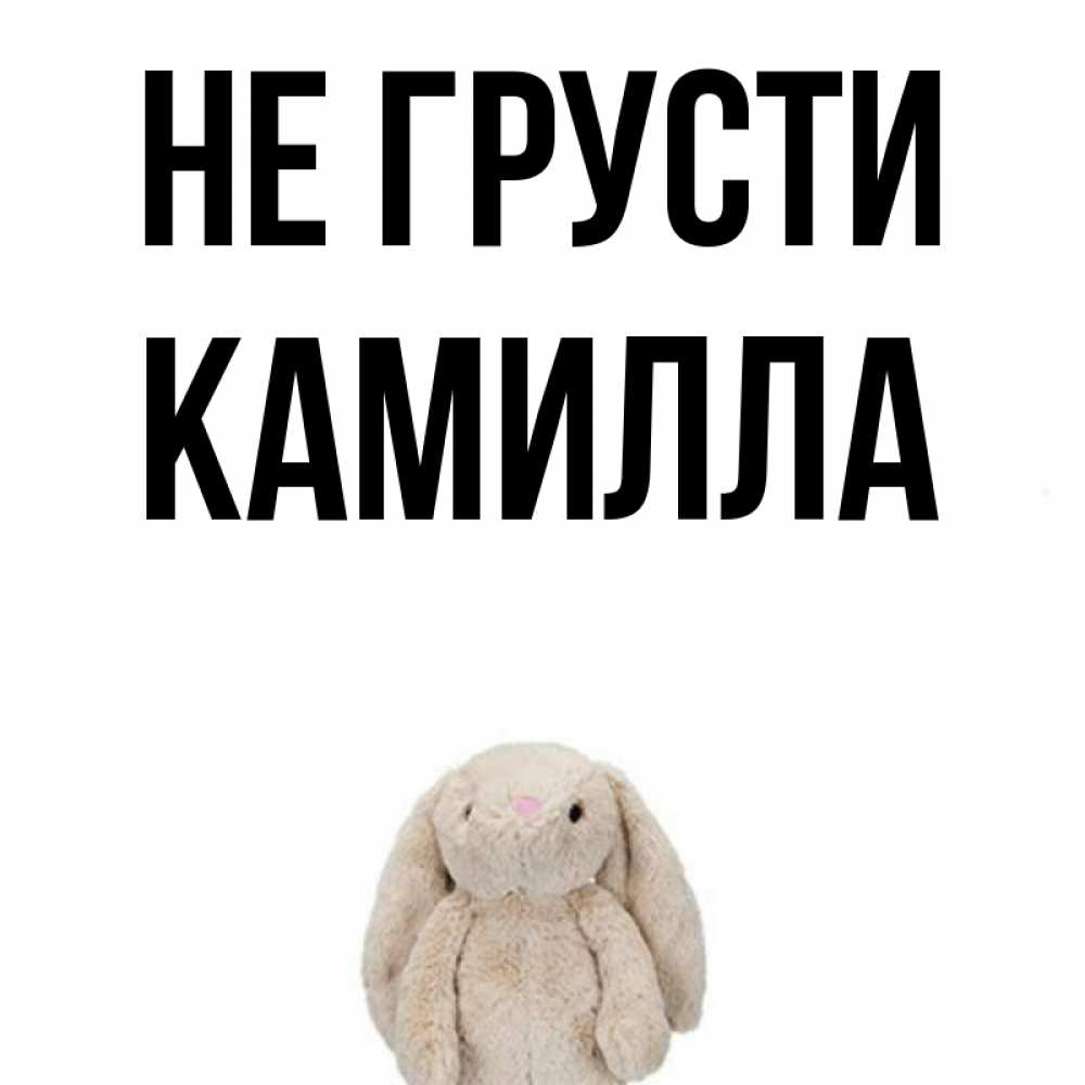 Открытка на каждый день с именем, Камилла Не грусти детская игрушка зайчика Прикольная открытка с пожеланием онлайн скачать бесплатно 