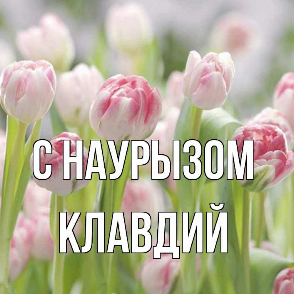 Открытка на каждый день с именем, Клавдий С наурызом цветы Прикольная открытка с пожеланием онлайн скачать бесплатно 