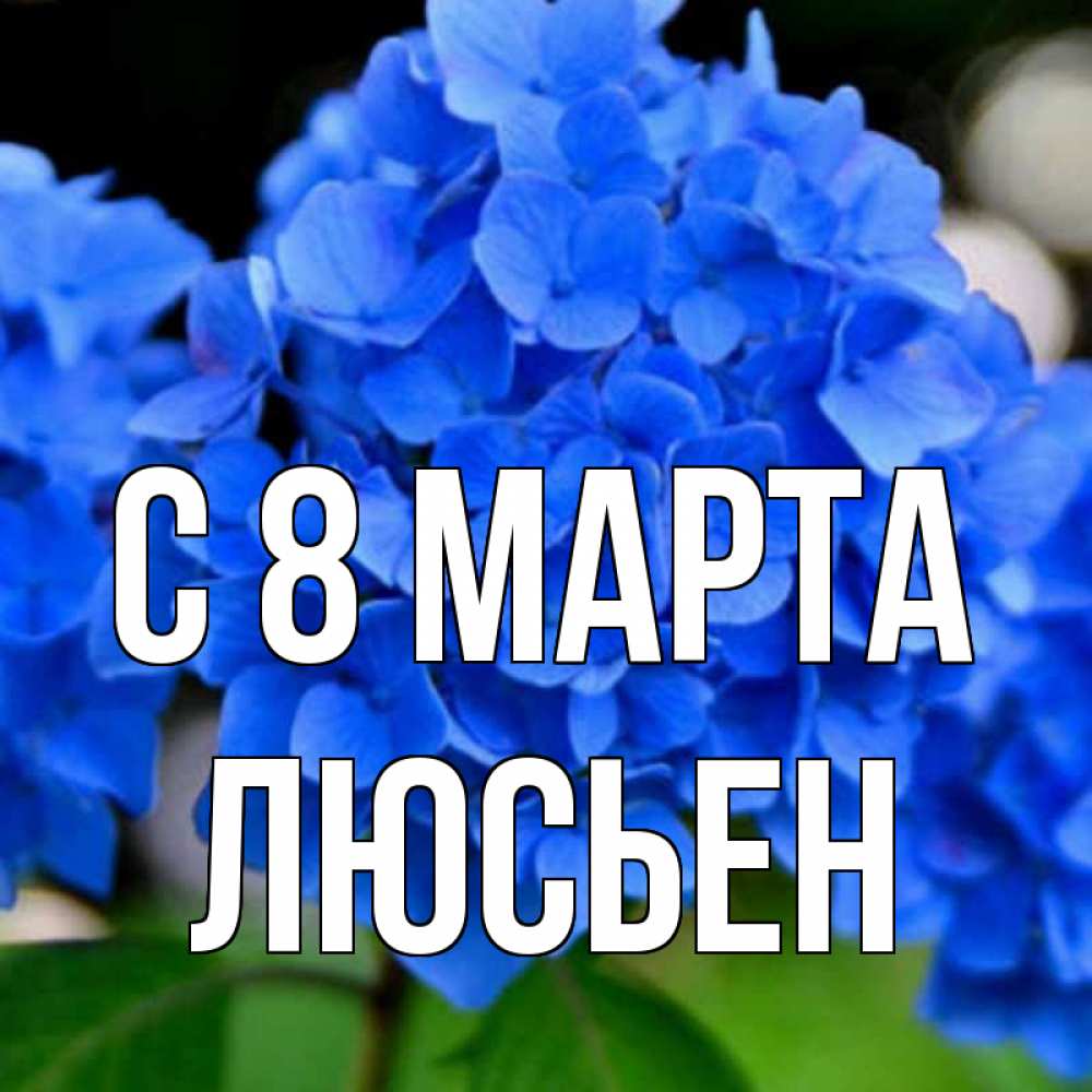 Открытка на каждый день с именем, Люсьен С 8 МАРТА синие цветы Прикольная открытка с пожеланием онлайн скачать бесплатно 