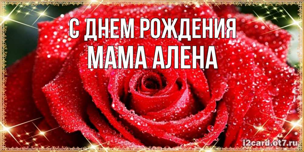 Открытка на каждый день с именем, Мама-Алена С днем рождения роса и роза. открытка с красивой розой Прикольная открытка с пожеланием онлайн скачать бесплатно 