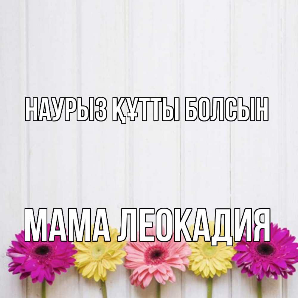 Открытка на каждый день с именем, Мама-Леокадия Наурыз құтты болсын женщинам 1 Прикольная открытка с пожеланием онлайн скачать бесплатно 