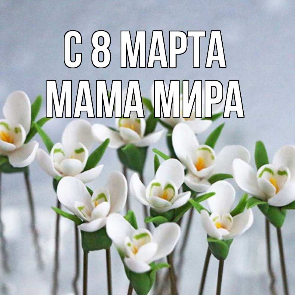 Открытка на каждый день с именем, Мама-Мира С 8 МАРТА весенние цветы Прикольная открытка с пожеланием онлайн скачать бесплатно 