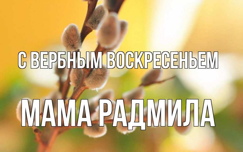 Открытка на каждый день с именем, Мама-Радмила С вербным воскресеньем верба Прикольная открытка с пожеланием онлайн скачать бесплатно 