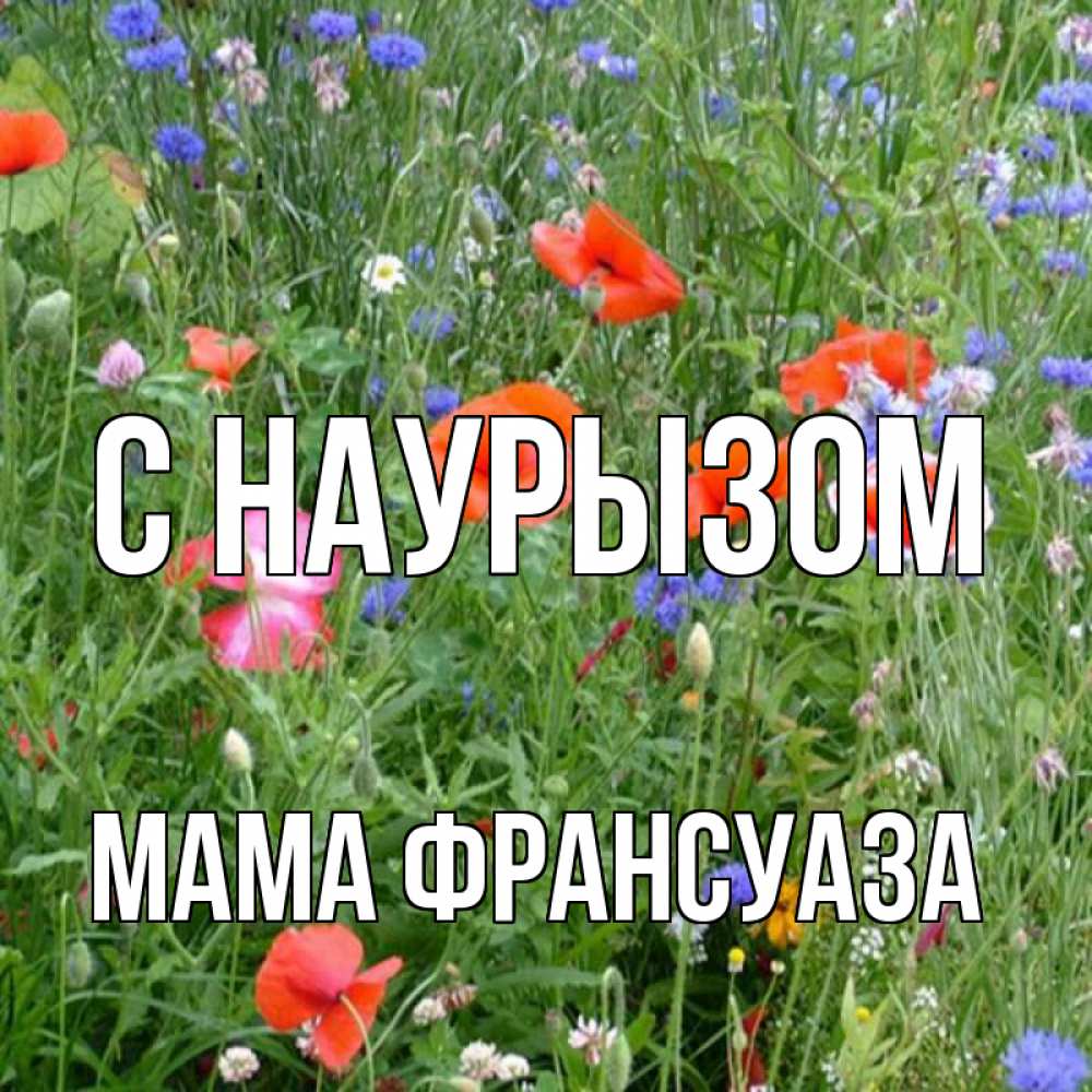 Открытка на каждый день с именем, Мама-Франсуаза С наурызом праздник весны наурыз супер открытка Прикольная открытка с пожеланием онлайн скачать бесплатно 