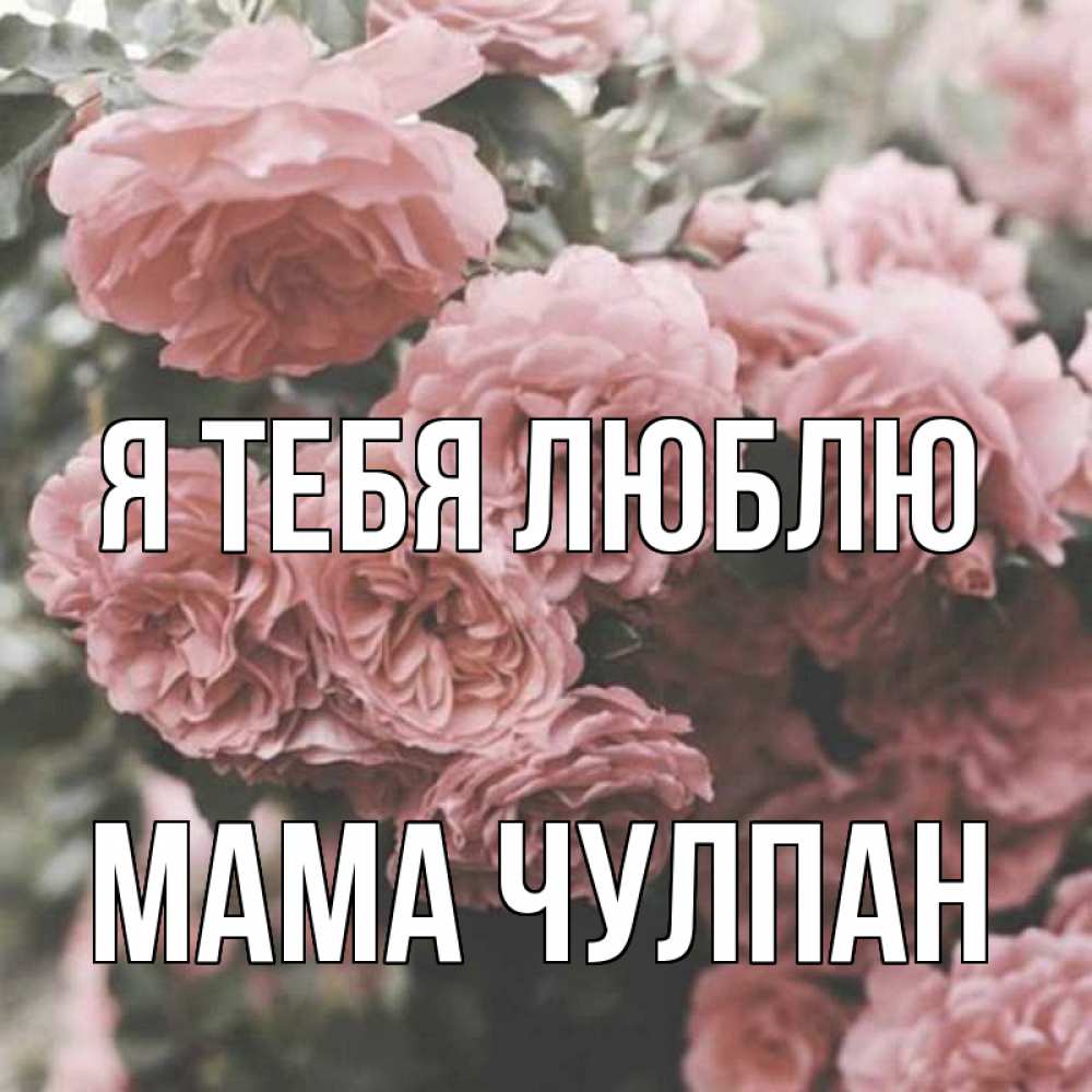 Открытка на каждый день с именем, Мама-Чулпан Я тебя люблю розы 3 Прикольная открытка с пожеланием онлайн скачать бесплатно 