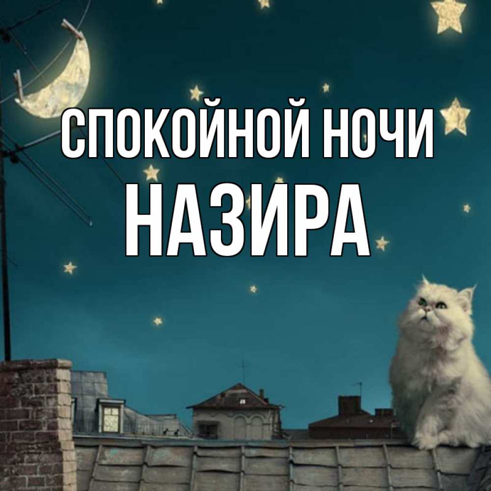 Открытка на каждый день с именем, Назира Спокойной ночи белый кот сидит на крыше Прикольная открытка с пожеланием онлайн скачать бесплатно 