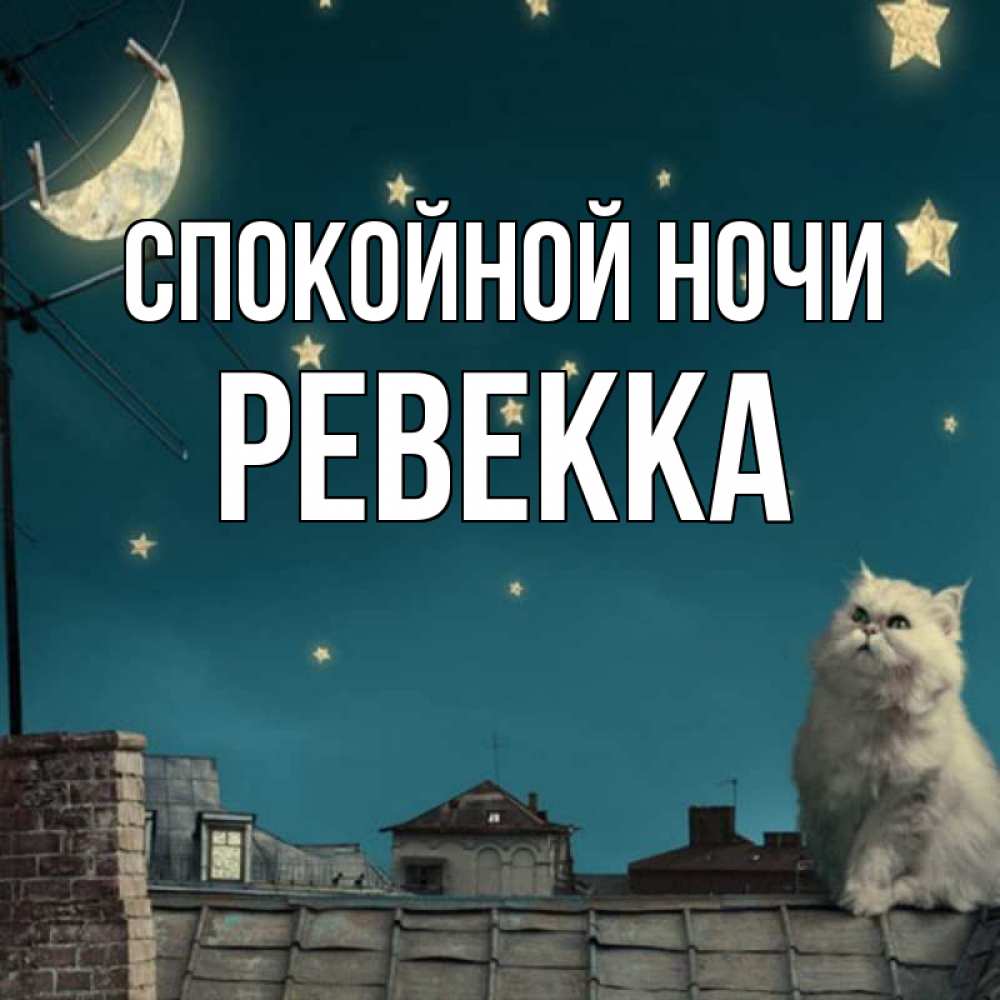 Открытка на каждый день с именем, Ревекка Спокойной ночи белый кот сидит на крыше Прикольная открытка с пожеланием онлайн скачать бесплатно 