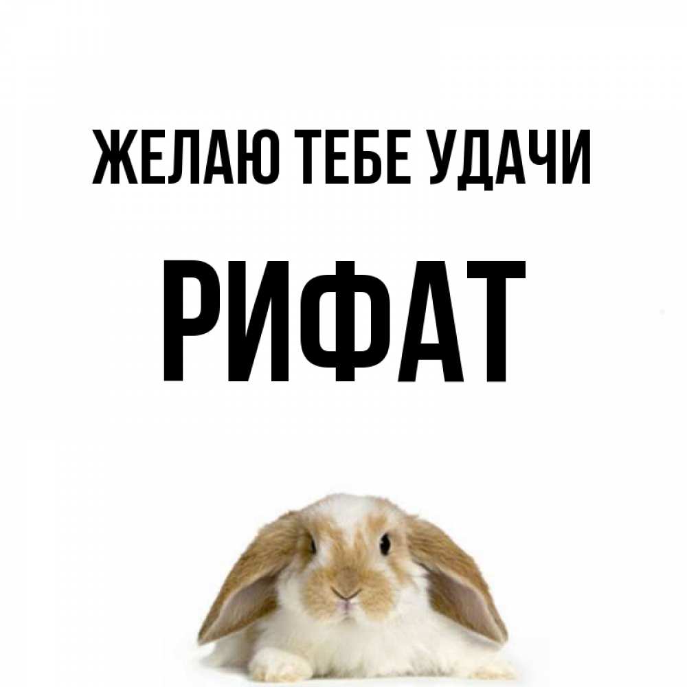 Открытка на каждый день с именем, Рифат Желаю тебе удачи открытки с произвольным текстом который можно вставить в открытку и создать ее самостоятельно бесплатно онлайн Прикольная открытка с пожеланием онлайн скачать бесплатно 