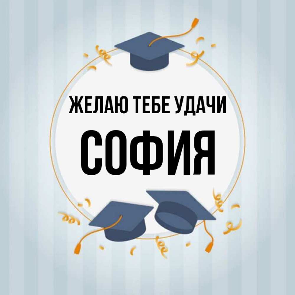 Открытка на каждый день с именем, София Желаю тебе удачи для студентов Прикольная открытка с пожеланием онлайн скачать бесплатно 
