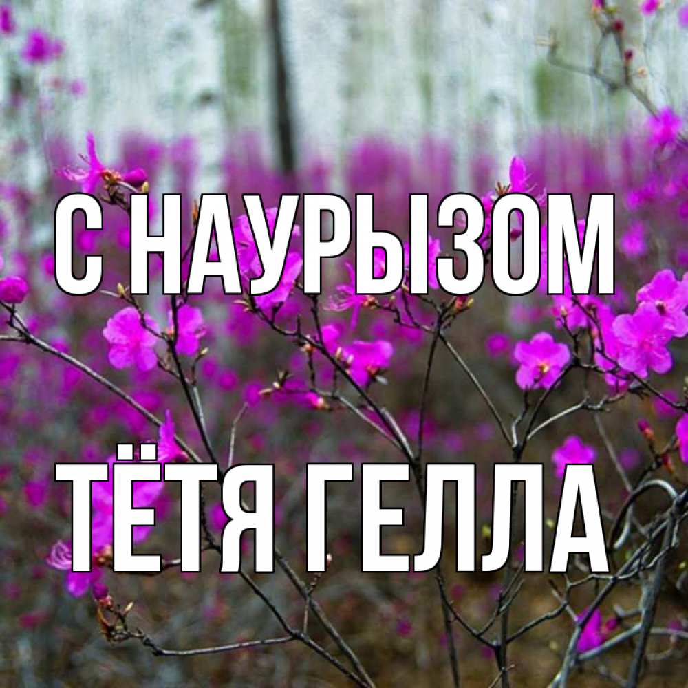 Открытка на каждый день с именем, Тётя-Гелла С наурызом дикие цветы Прикольная открытка с пожеланием онлайн скачать бесплатно 