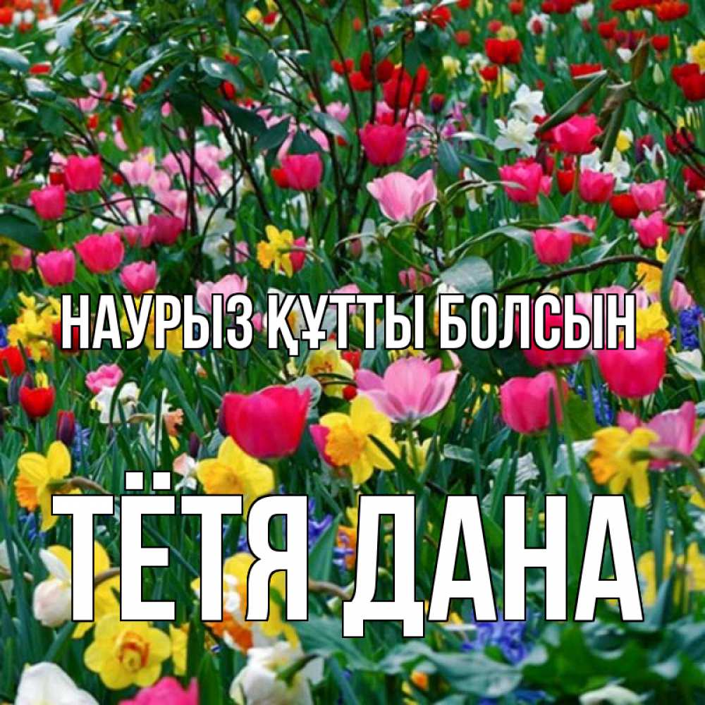 Открытка на каждый день с именем, Тётя-Дана Наурыз құтты болсын с наурызом поздравления для женщины Прикольная открытка с пожеланием онлайн скачать бесплатно 