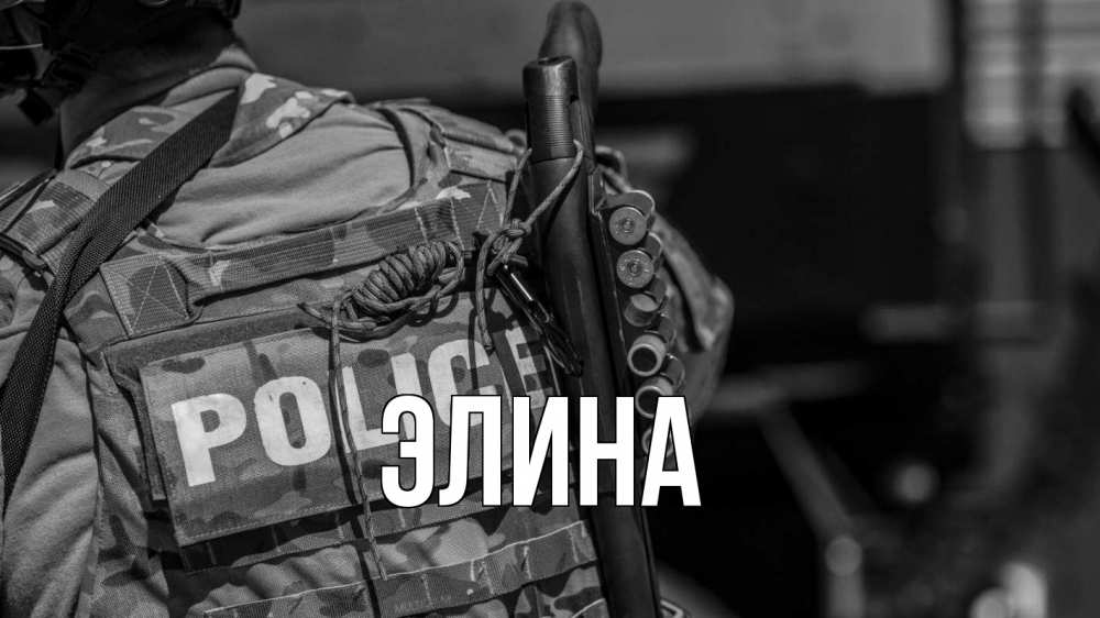 Открытка на каждый день с именем, Элина Главная полиция Прикольная открытка с пожеланием онлайн скачать бесплатно 