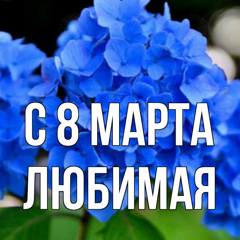 Открытка на каждый день с именем, любимая С 8 МАРТА синие цветы Прикольная открытка с пожеланием онлайн скачать бесплатно 