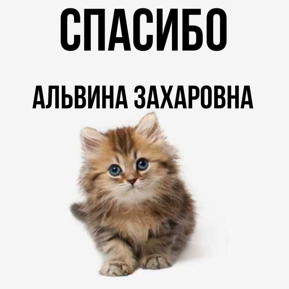 альвина с днем рождения