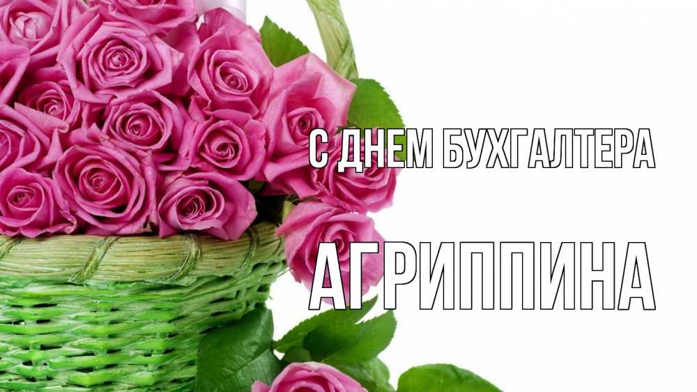 Открытка на каждый день с именем, Агриппина С днем бухгалтера с днем бухгалтера Прикольная открытка с пожеланием онлайн скачать бесплатно 