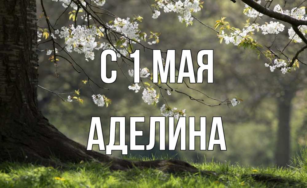 Открытка на каждый день с именем, Аделина С 1 мая С 1 мая Прикольная открытка с пожеланием онлайн скачать бесплатно 