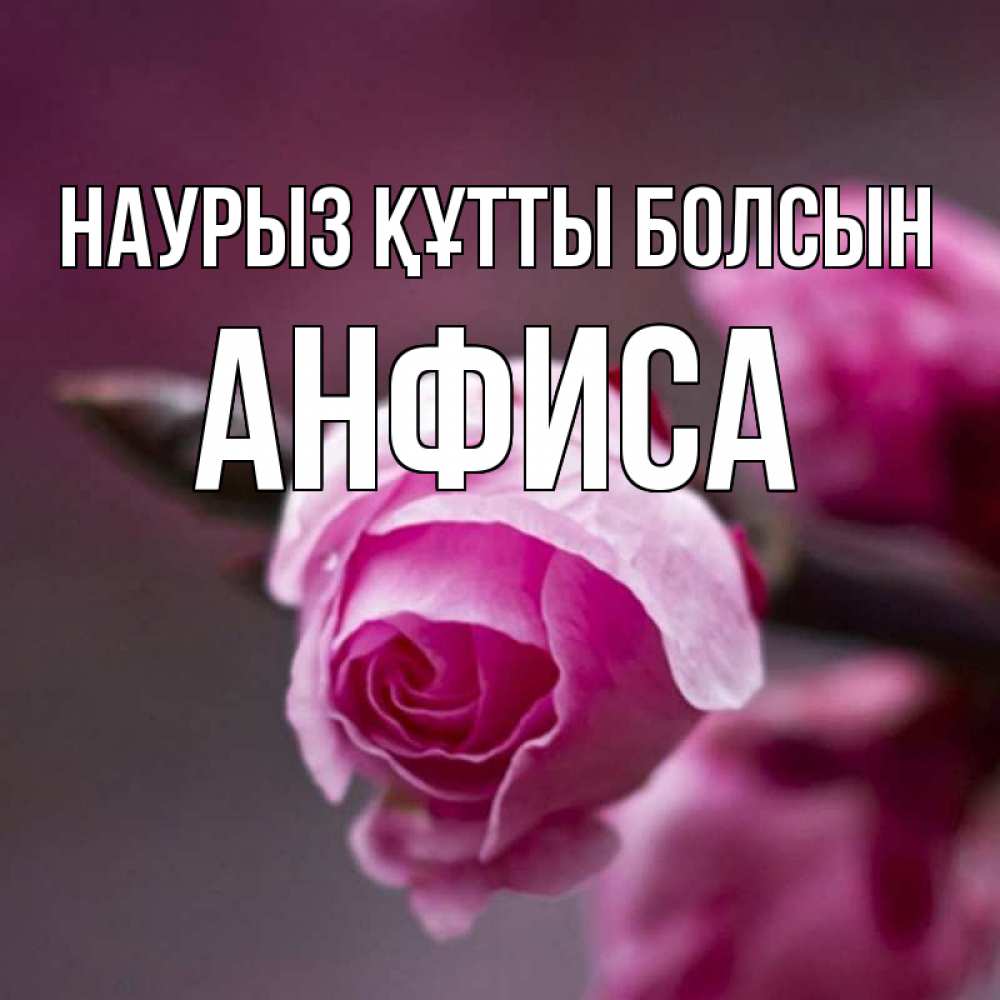 Открытка на каждый день с именем, Анфиса Наурыз құтты болсын весна Прикольная открытка с пожеланием онлайн скачать бесплатно 