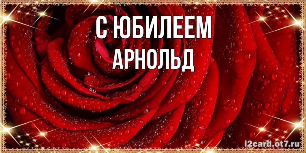 Открытка на каждый день с именем, Арнольд С юбилеем роса на розе блестящая в лучах солнца Прикольная открытка с пожеланием онлайн скачать бесплатно 