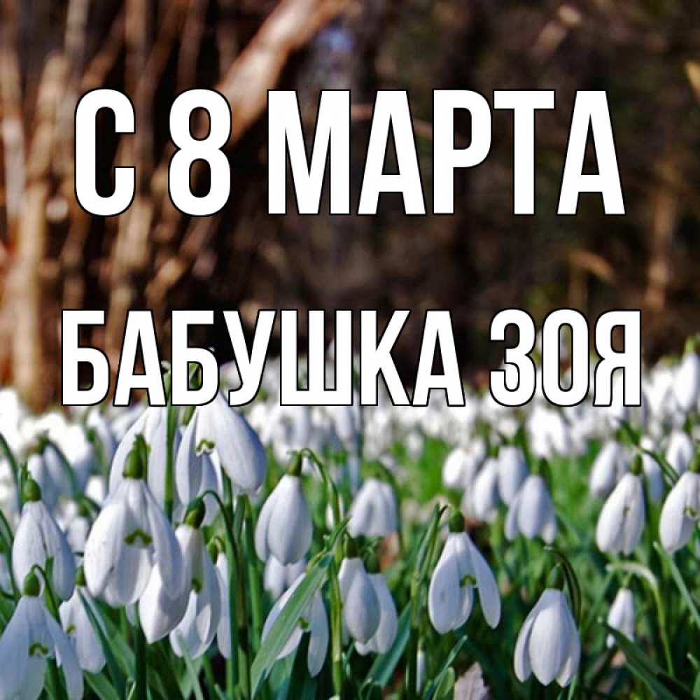 Открытка на каждый день с именем, Бабушка-Зоя С 8 МАРТА с подснежниками 1 Прикольная открытка с пожеланием онлайн скачать бесплатно 