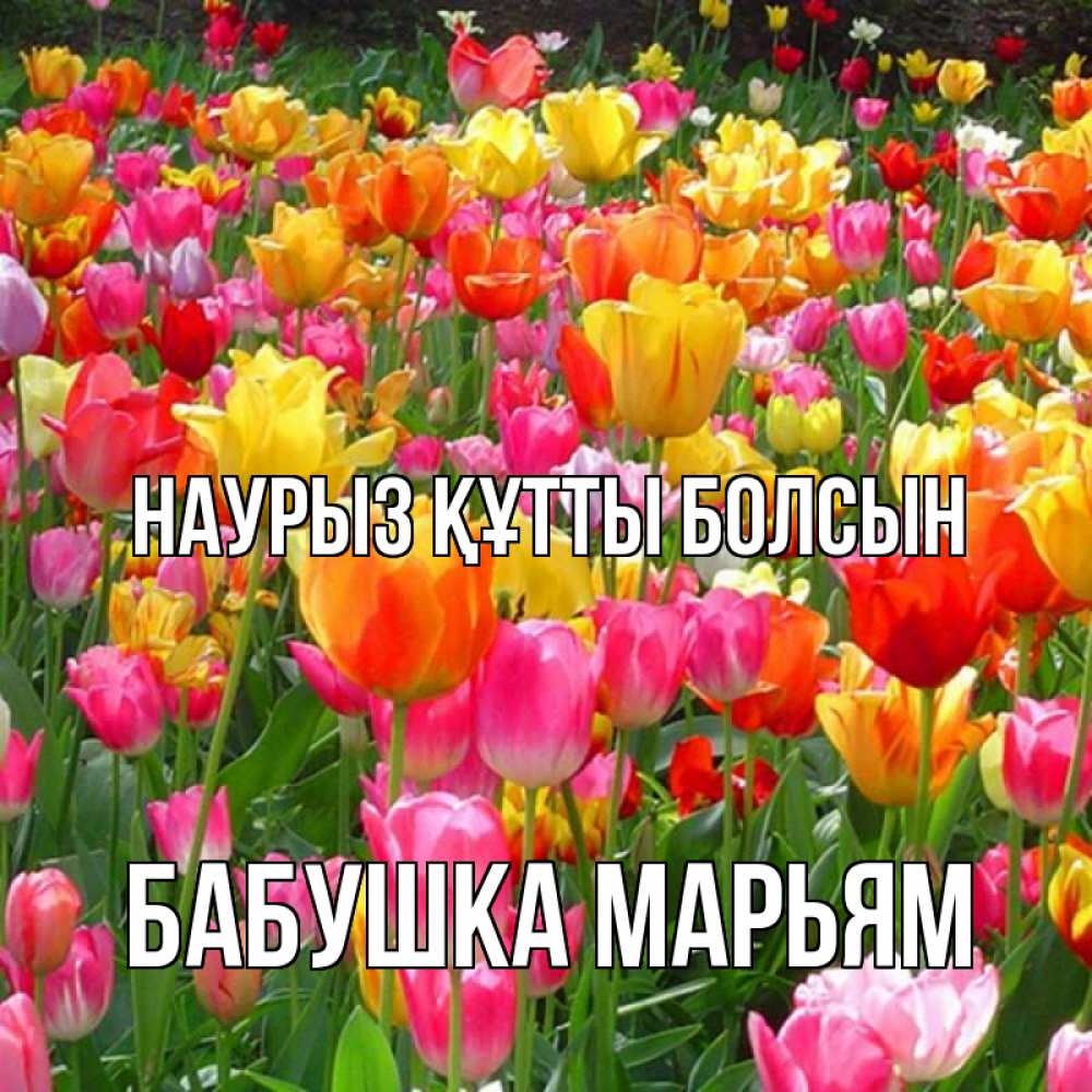 Открытка на каждый день с именем, Бабушка-Марьям Наурыз құтты болсын на наурыз  ура ура Прикольная открытка с пожеланием онлайн скачать бесплатно 